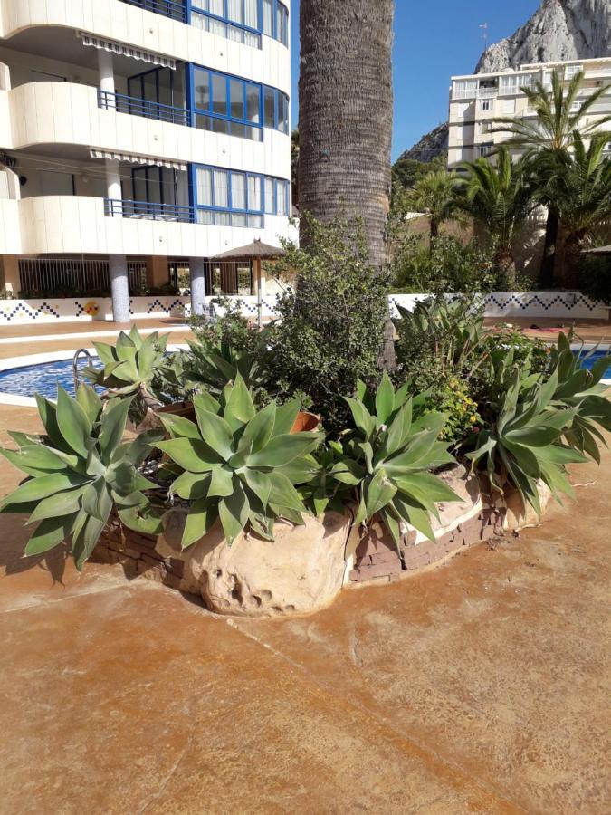 Appartement 1 à 4 personnes CALPE Espagne - Garage et WIFI gratuits Extérieur photo